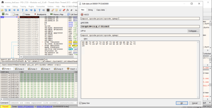 Python Opcode Obfuscation: A Powerful Anti-Analysis Technique